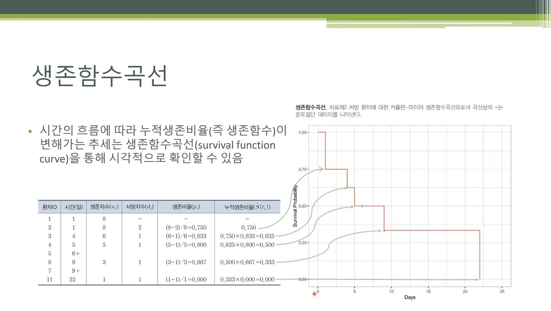 카플란-마이어 생존 곡선의 계단형 함수 구조 및 중도절단 십자 표시